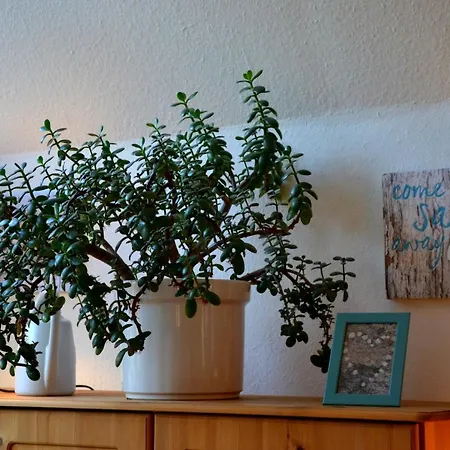 Loft Am Diek Lägenhet